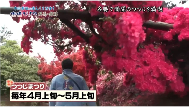 つつじが岡公園