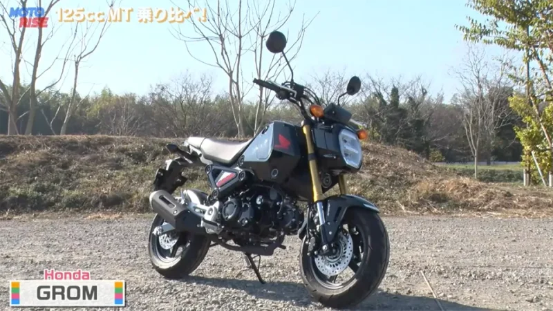 HONDA GROM